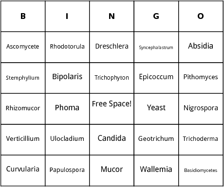 allergens and fungi binog