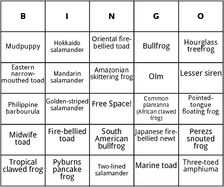 amphibians in lakes and ponds bingo