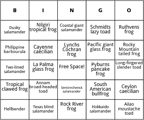 amphibians in rivers and streams bingo