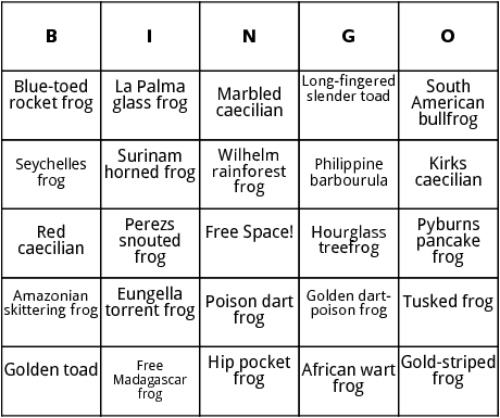 amphibians in the rainforests bingo