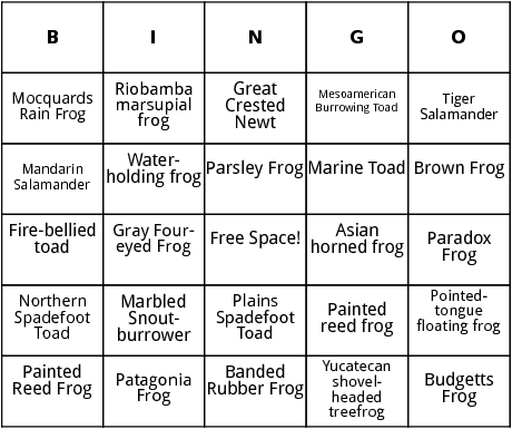 amphibians in tropical grasslands bingo