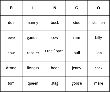 animal names bingo