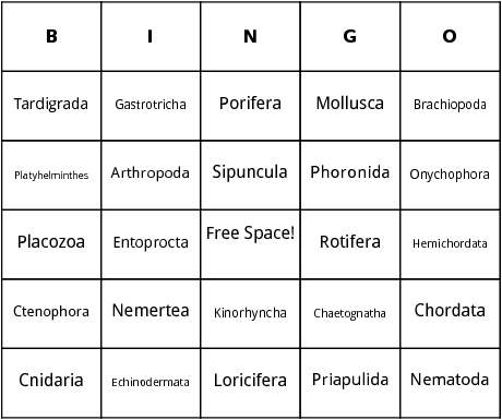 animal phylum bingo