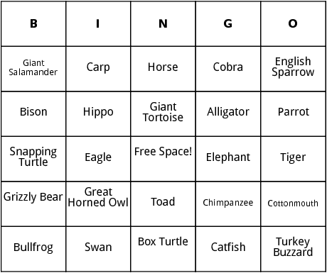 animals with longest life span bingo