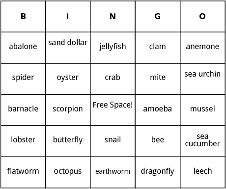 animals without backbones bingo