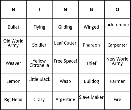 ants bingo