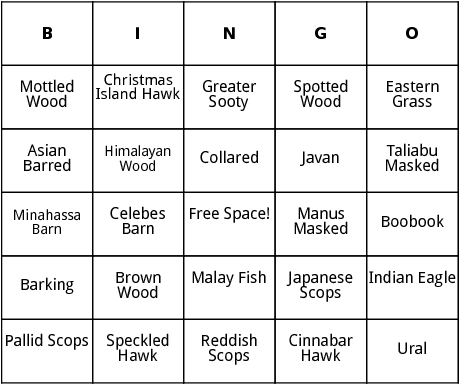 asian owls bingo