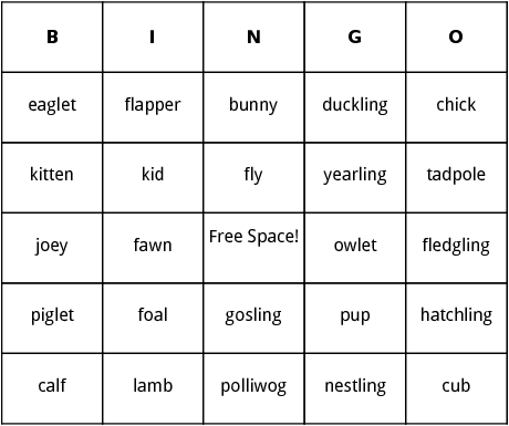 baby animals bingo