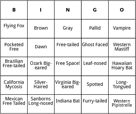 bats bingo