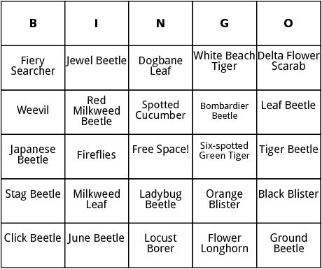 beetles bingo 