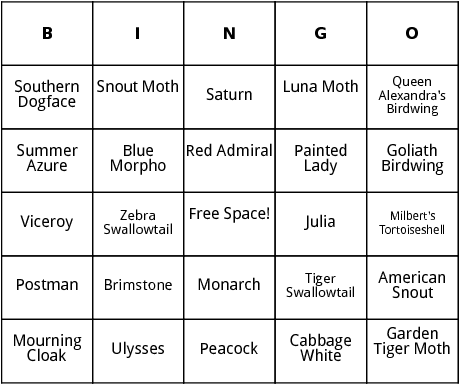 butterflies and moths bingo