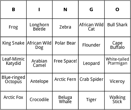 camouflaged animals bingo 
