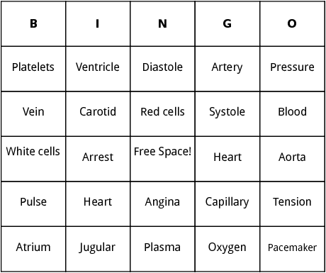 cardiovascular system bingo