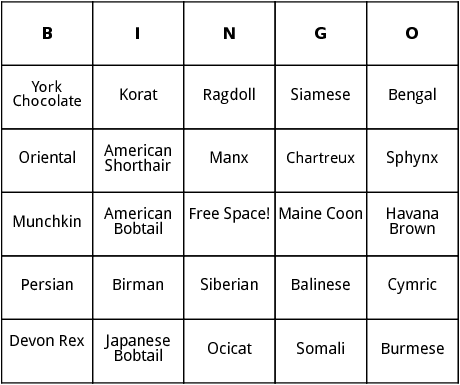 cat breeds bingo