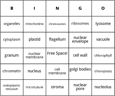 cell structure bingo