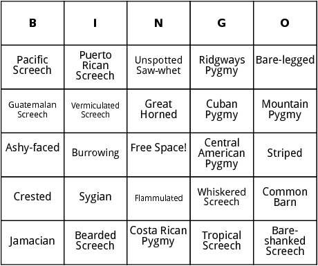 central american owls bingo