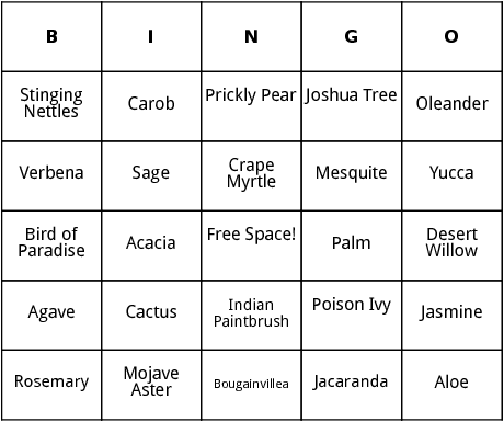 desert plants bingo 