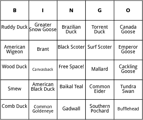 ducks and geese bingo