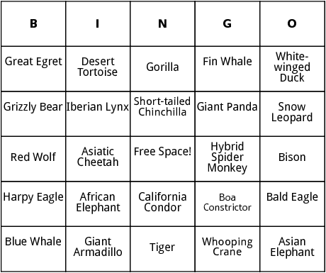 endangered species bingo