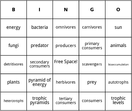 food chain bingo