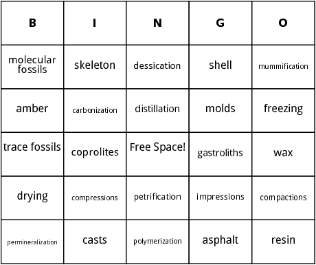 fossils bingo