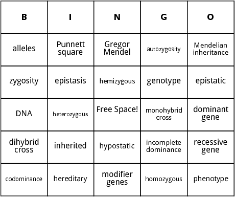 genetics bingo 