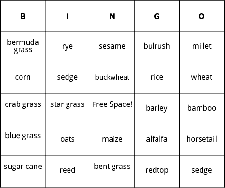 grass and grain bingo