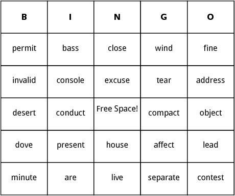 heteronyms bingo