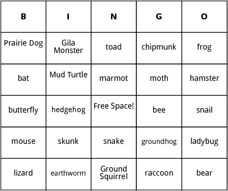 hibernating animals bingo