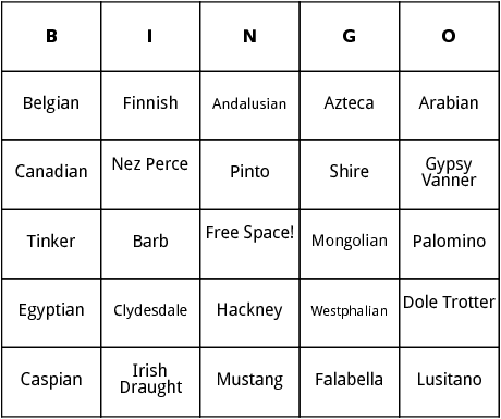 horse breeds bingo