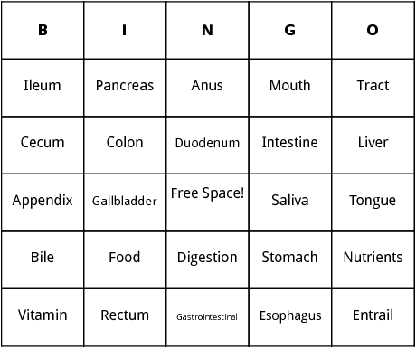 human digestion bingo