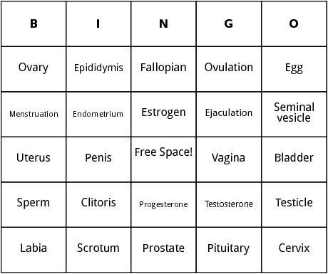 human reproduction bingo