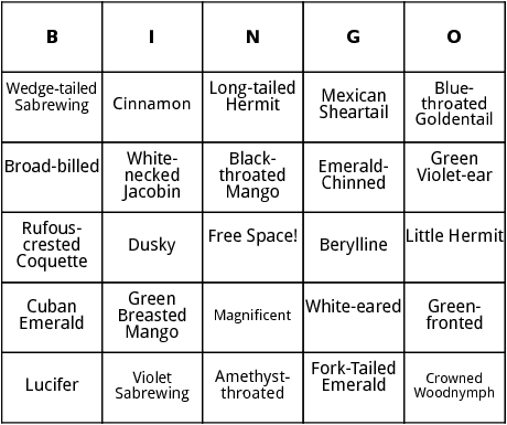 hummingbirds bingo 