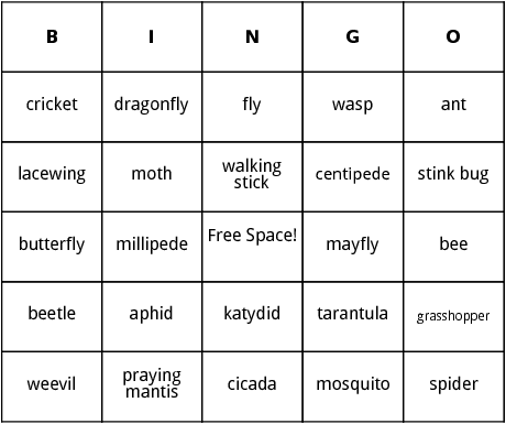 insects bingo