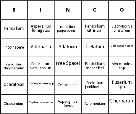 molds and toxins bingo