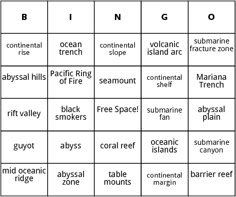 ocean floor features bingo