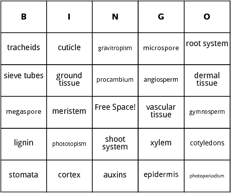 parts of plant bingo