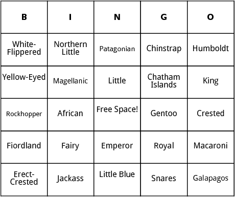 penguins bingo