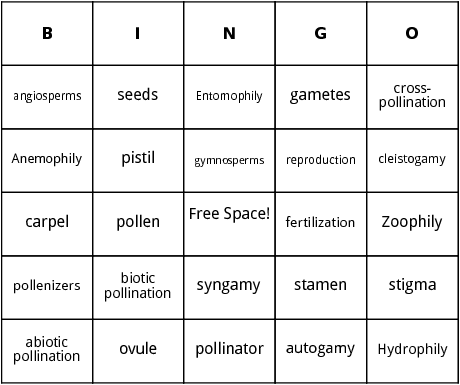 pollination bingo