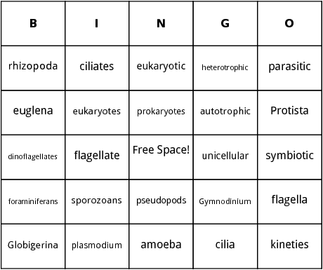 protozoa bingo card
