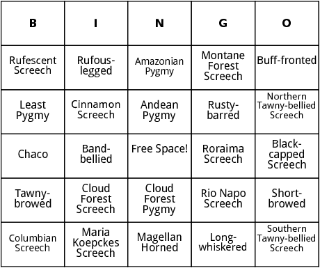 south american owls bingo