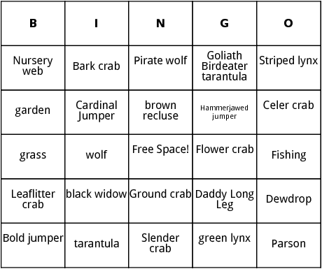 spiders bingo