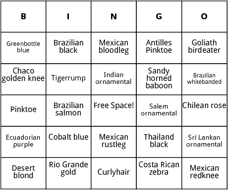 tarantulas bingo