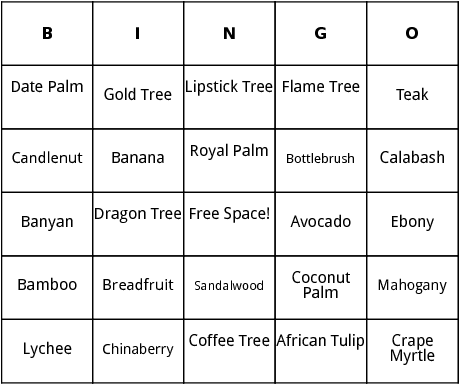 trees in the tropics bingo