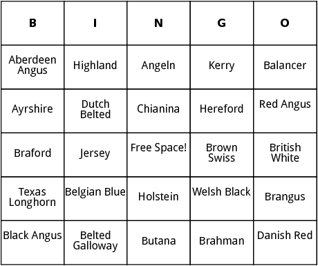 types of cattle bingo
