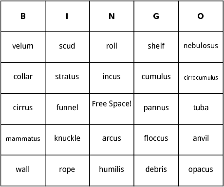 types of clouds bingo