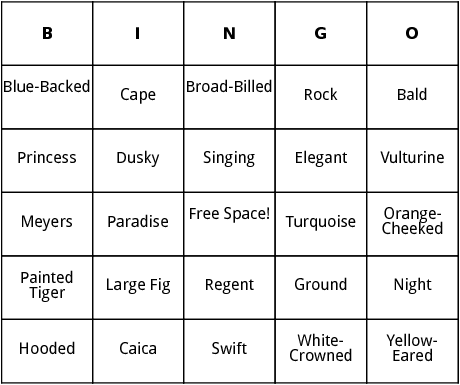 types of parrots bingo