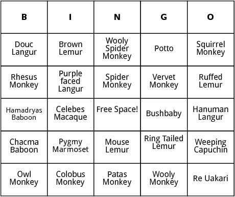 types of primates bingo