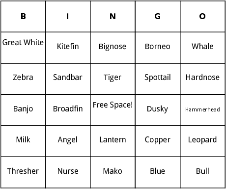 types of sharks bingo