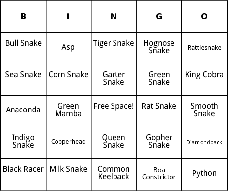 types of snakes bingo
